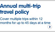 Annual multi-trip travel policy. Cover multiple trips within 12 months for up to 45 days at a time